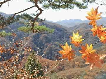 精筑微觀天地，領(lǐng)航模型巔峰——探秘高級(jí)沙盤模型公司